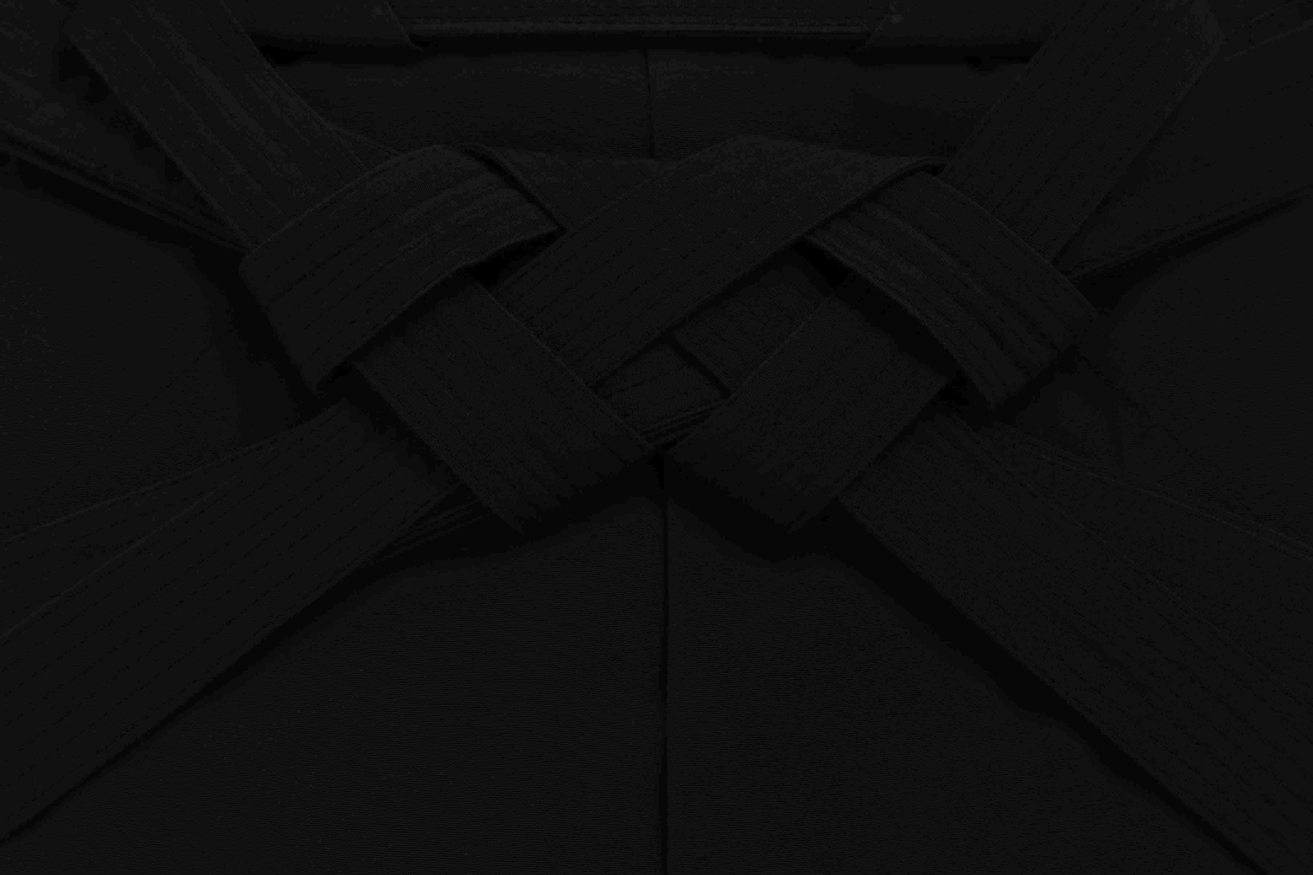 Muso Shinden Ryu Fukuri iaïdo club de Touraine